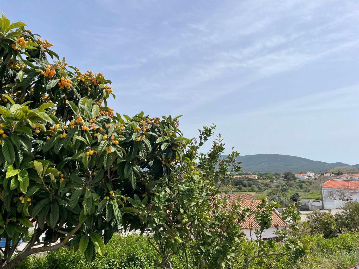 Casa Lino Villa Pedreiras de Baixo Eksteriør bilde